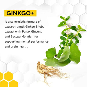 NATURAL STACKS - NATURAL STACKS Ginkgo Biloba Supplements w/Panax Ginseng and Bacopa Monnieri 60 Capsulas - The Red Vitamin MX - Suplementos Alimenticios - {{ shop.shopifyCountryName }}