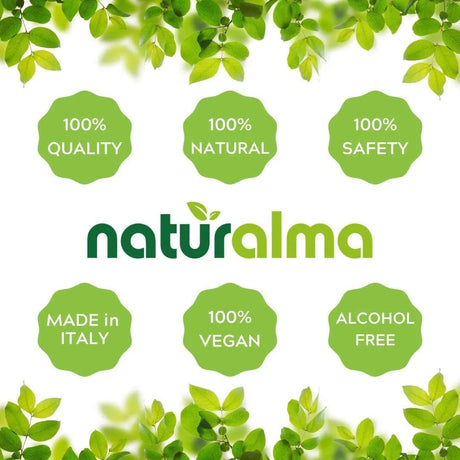 NATURALMA - Naturalma Ginkgo biloba Leaf Alcohol-Free Tincture 120Ml. - The Red Vitamin MX - Suplementos Alimenticios - {{ shop.shopifyCountryName }}