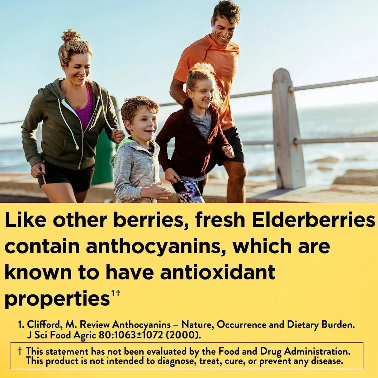 NATURE MADE - Nature Made Elderberry 400Mg. 60 Capsulas - The Red Vitamin MX - Suplementos Alimenticios - {{ shop.shopifyCountryName }}