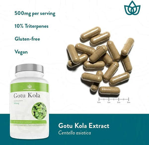 NATURE RESTORE - Nature Restore Gotu Kola Extract 500Mg. 90 Capsulas - The Red Vitamin MX - Suplementos Alimenticios - {{ shop.shopifyCountryName }}