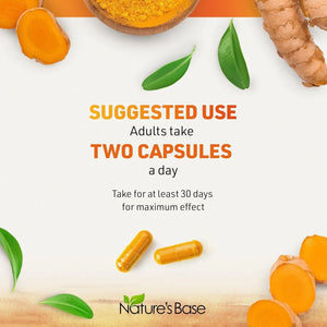 NATURE'S BASE - NATURE'S BASE Turmeric and Ginger 120 Capsulas - The Red Vitamin MX - Suplementos Alimenticios - {{ shop.shopifyCountryName }}