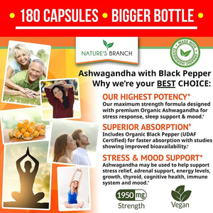 NATURE'S BRANCH - Nature's Branch Organic Ashwagandha with Black Pepper 180 Capsulas - The Red Vitamin MX - Suplementos Alimenticios - {{ shop.shopifyCountryName }}