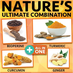 NATURE'S BRANCH - Nature's Branch Turmeric Curcumin and Ginger & BioPerine 90 Capsulas - The Red Vitamin MX - Suplementos Alimenticios - {{ shop.shopifyCountryName }}