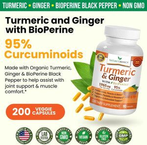 NATURE'S BRANCH - Nature's Branch Turmeric Curcumin and Ginger & BioPerine 90 Capsulas - The Red Vitamin MX - Suplementos Alimenticios - {{ shop.shopifyCountryName }}