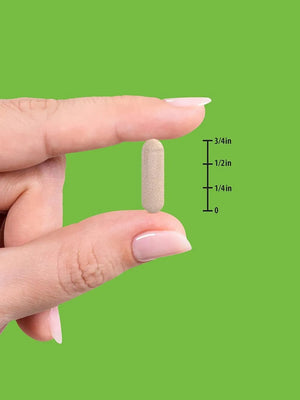 NATURE'S TRUTH - Nature's Truth Black Cohosh 700Mg. 100 Capsulas - The Red Vitamin MX - Suplementos Alimenticios - {{ shop.shopifyCountryName }}