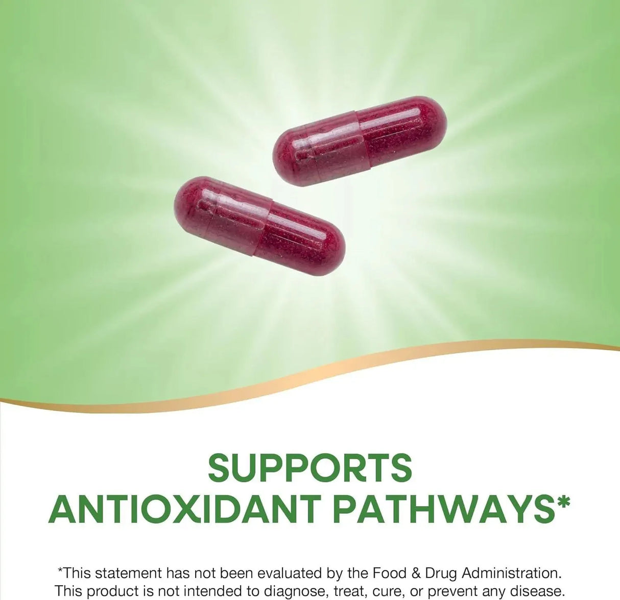 NATURE'S WAY - Nature's Way Beet Root 320 Capsulas - The Red Vitamin MX - Suplementos Alimenticios - {{ shop.shopifyCountryName }}