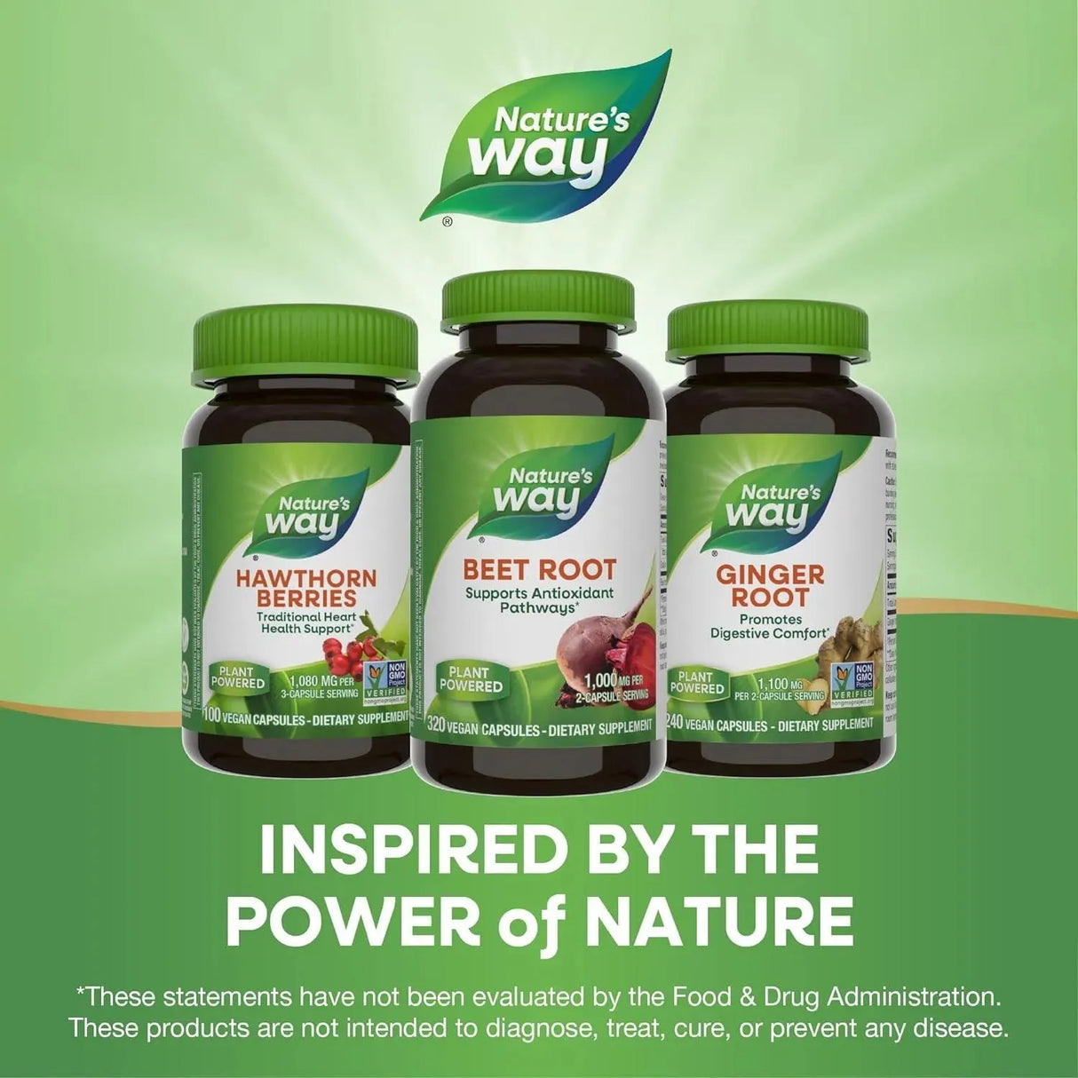 NATURE'S WAY - Nature's Way Beet Root 320 Capsulas - The Red Vitamin MX - Suplementos Alimenticios - {{ shop.shopifyCountryName }}