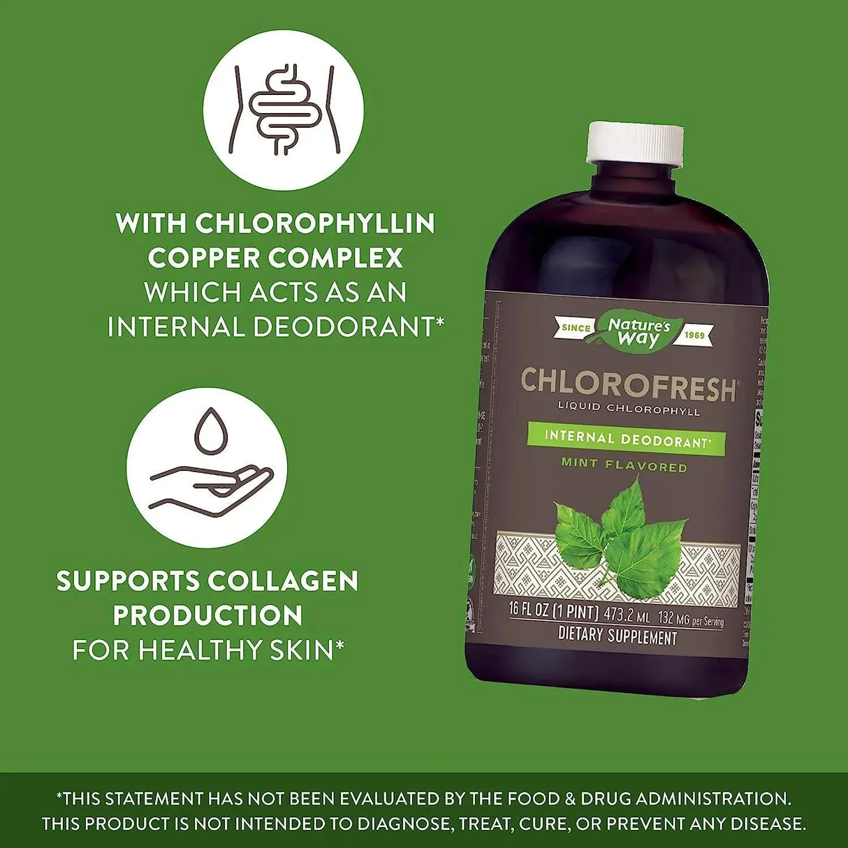 NATURE'S WAY - Nature's Way Chlorofresh Liquid Chlorophyll 16 Fl.Oz. - The Red Vitamin MX - Suplementos Alimenticios - {{ shop.shopifyCountryName }}