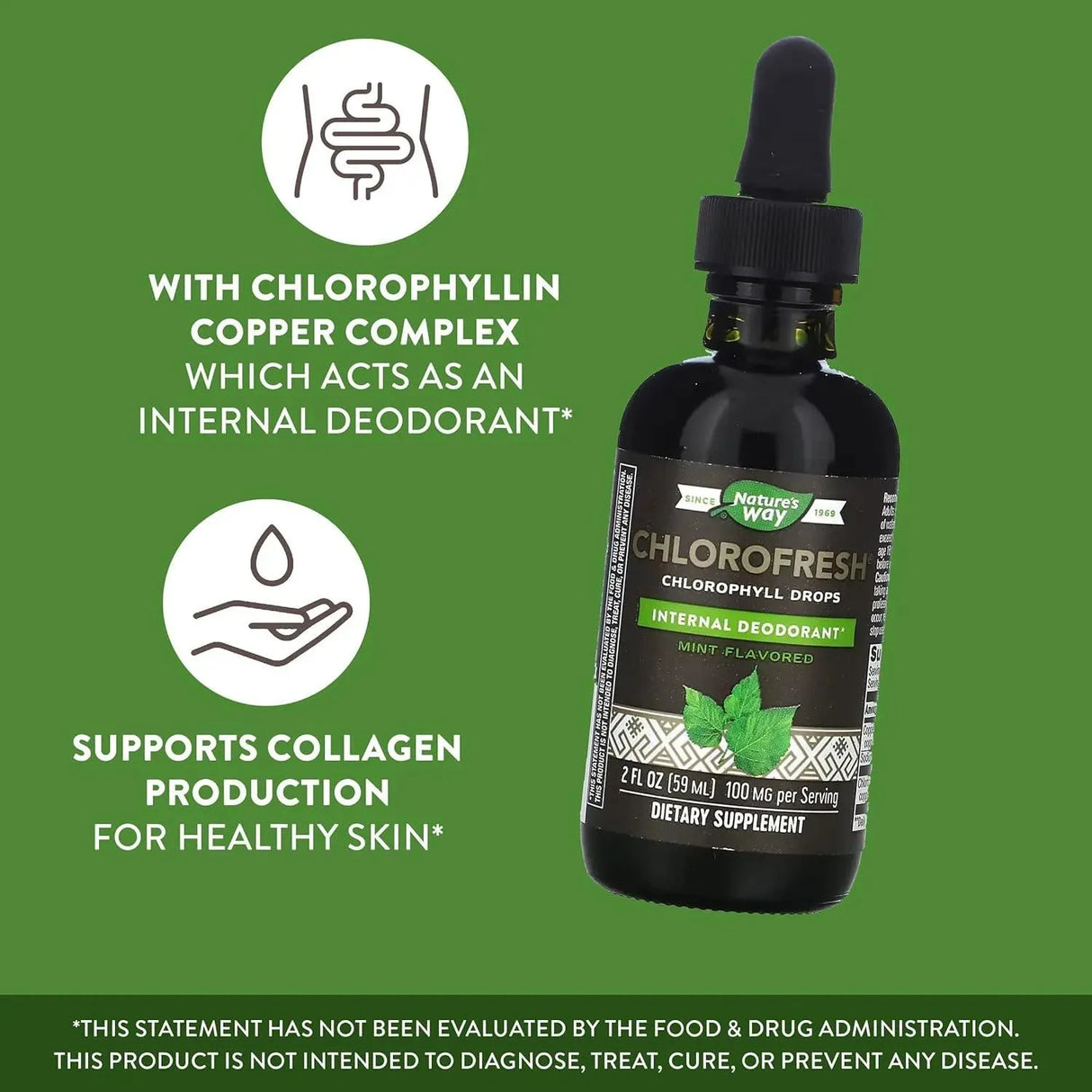 NATURE'S WAY - Nature's Way Chlorofresh Liquid Chlorophyll Concentrate Drops 59Ml. - The Red Vitamin MX - Suplementos Alimenticios - {{ shop.shopifyCountryName }}