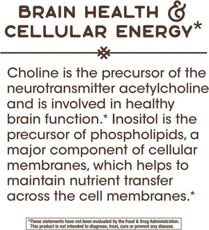 NATURE'S WAY - Nature’s Way Choline & Inositol 100 Capsulas - The Red Vitamin MX - Suplementos Alimenticios - {{ shop.shopifyCountryName }}