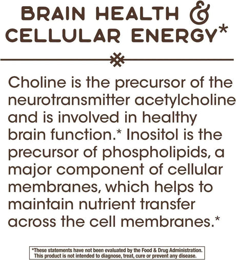 NATURE'S WAY - Nature’s Way Choline & Inositol 100 Capsulas - The Red Vitamin MX - Suplementos Alimenticios - {{ shop.shopifyCountryName }}