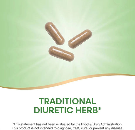 NATURE'S WAY - Nature's Way Dandelion Root 100 Capsulas - The Red Vitamin MX - Suplementos Alimenticios - {{ shop.shopifyCountryName }}
