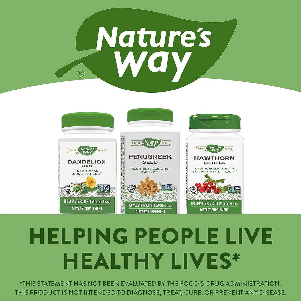 NATURE'S WAY - Nature's Way Fenugreek Seed 1130Mg. 320 Capsulas - The Red Vitamin MX - Suplementos Alimenticios - {{ shop.shopifyCountryName }}