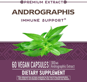 NATURE'S WAY - Nature's Way Premium Extract Andrographis 300Mg. 60 Capsulas - The Red Vitamin MX - Suplementos Alimenticios - {{ shop.shopifyCountryName }}