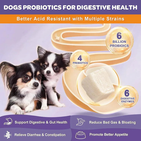 NATURE TARGET - Nature Target Probiotics for Dogs 6 Billion CFUs 120 Masticables - The Red Vitamin MX - Probióticos Para Perros - {{ shop.shopifyCountryName }}