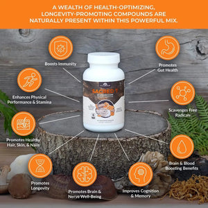 NATUREALM - Naturealm Sacred 7 Mushroom Extract Capsules 120 Capsulas - The Red Vitamin MX - Suplementos Alimenticios - {{ shop.shopifyCountryName }}