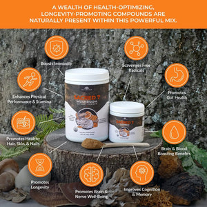 NATUREALM - Naturealm Sacred 7 Mushroom Extract Powder - The Red Vitamin MX - Suplementos Alimenticios - {{ shop.shopifyCountryName }}