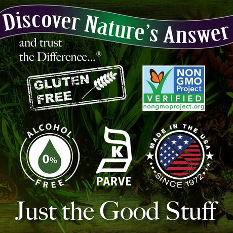 NATURE´S ANSWER - Nature's Answer Alcohol-Free Burdock Root Extract 1 Fl.Oz. - The Red Vitamin MX - Suplementos Alimenticios - {{ shop.shopifyCountryName }}