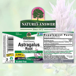 NATURE´S ANSWER - Nature's Answer Astragalus Root Extract 1 Fl. Oz. - The Red Vitamin MX - Suplementos Alimenticios - {{ shop.shopifyCountryName }}