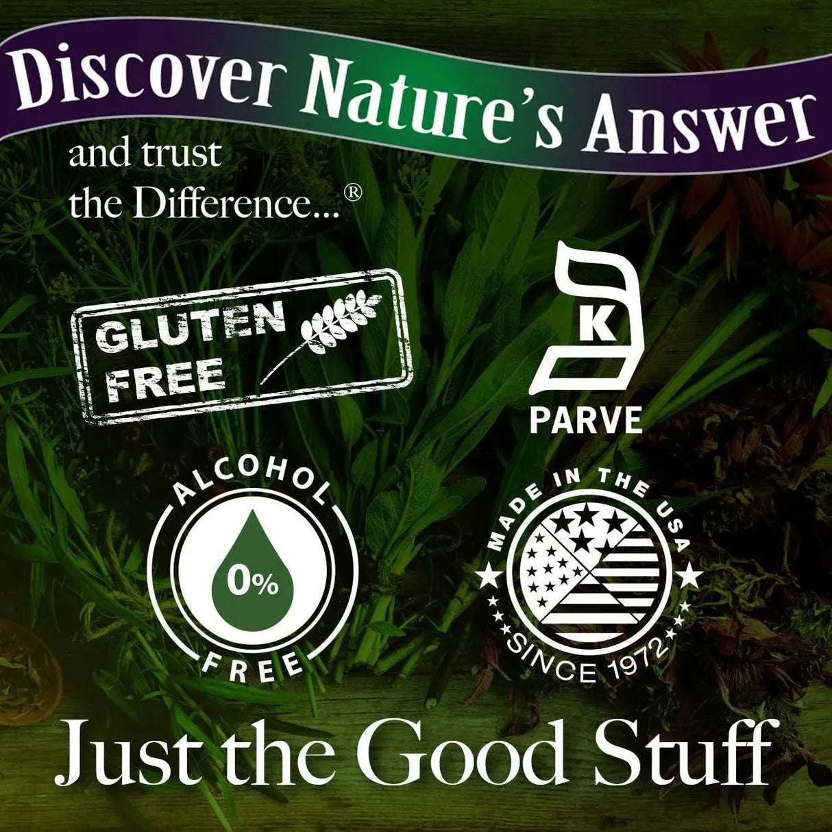 NATURE´S ANSWER - Nature's Answer Devil's Claw Root Alcohol Free Extract 30Ml. - The Red Vitamin MX - Suplementos Alimenticios - {{ shop.shopifyCountryName }}