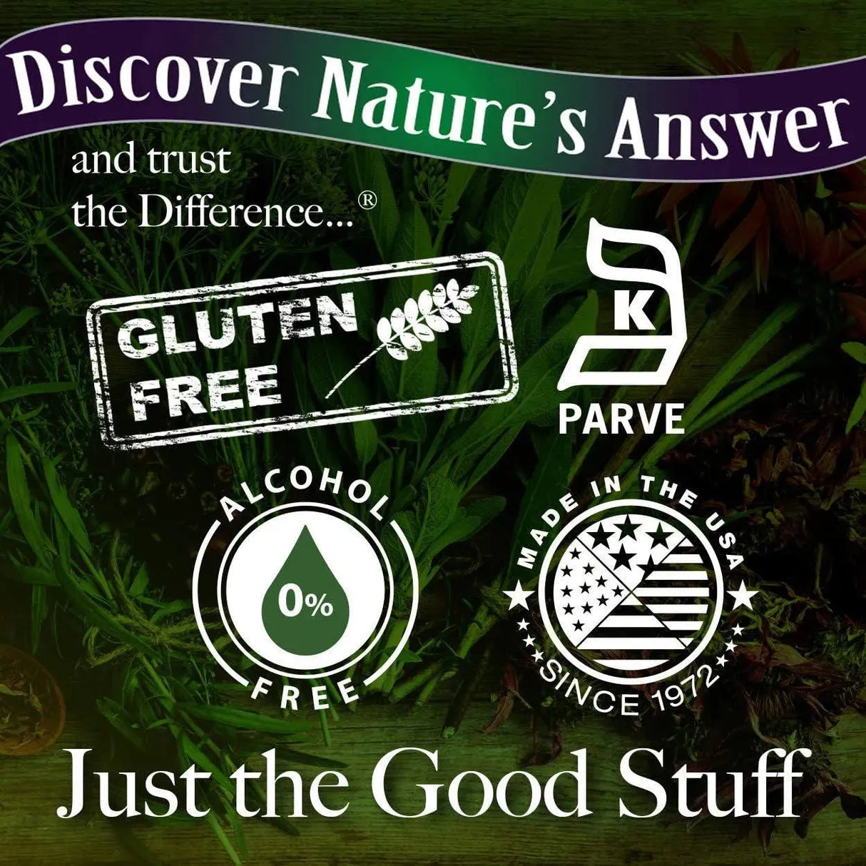 NATURE´S ANSWER - Nature's Answer Ginseng American Root 1 Fl.Oz. - The Red Vitamin MX - Suplementos Alimenticios - {{ shop.shopifyCountryName }}