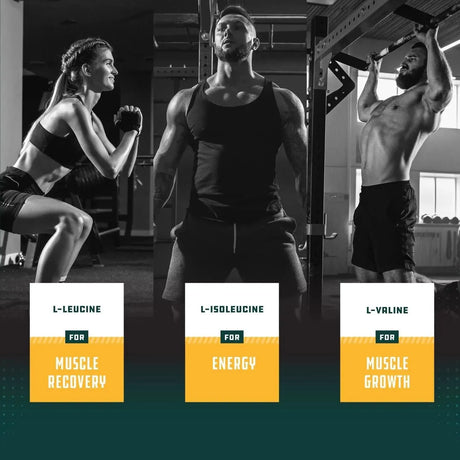 NATURES CRAFT - Natures Craft Branch Chain Amino Acids 60 Tabletas - The Red Vitamin MX - Suplementos Alimenticios - {{ shop.shopifyCountryName }}