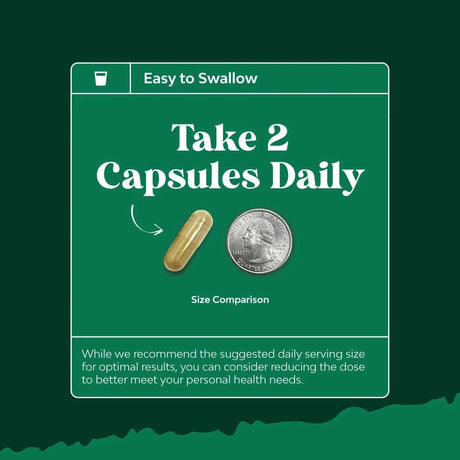 NATURES CRAFT - Natures Craft DIM Complex 60 Capsulas - The Red Vitamin MX - Suplementos Alimenticios - {{ shop.shopifyCountryName }}