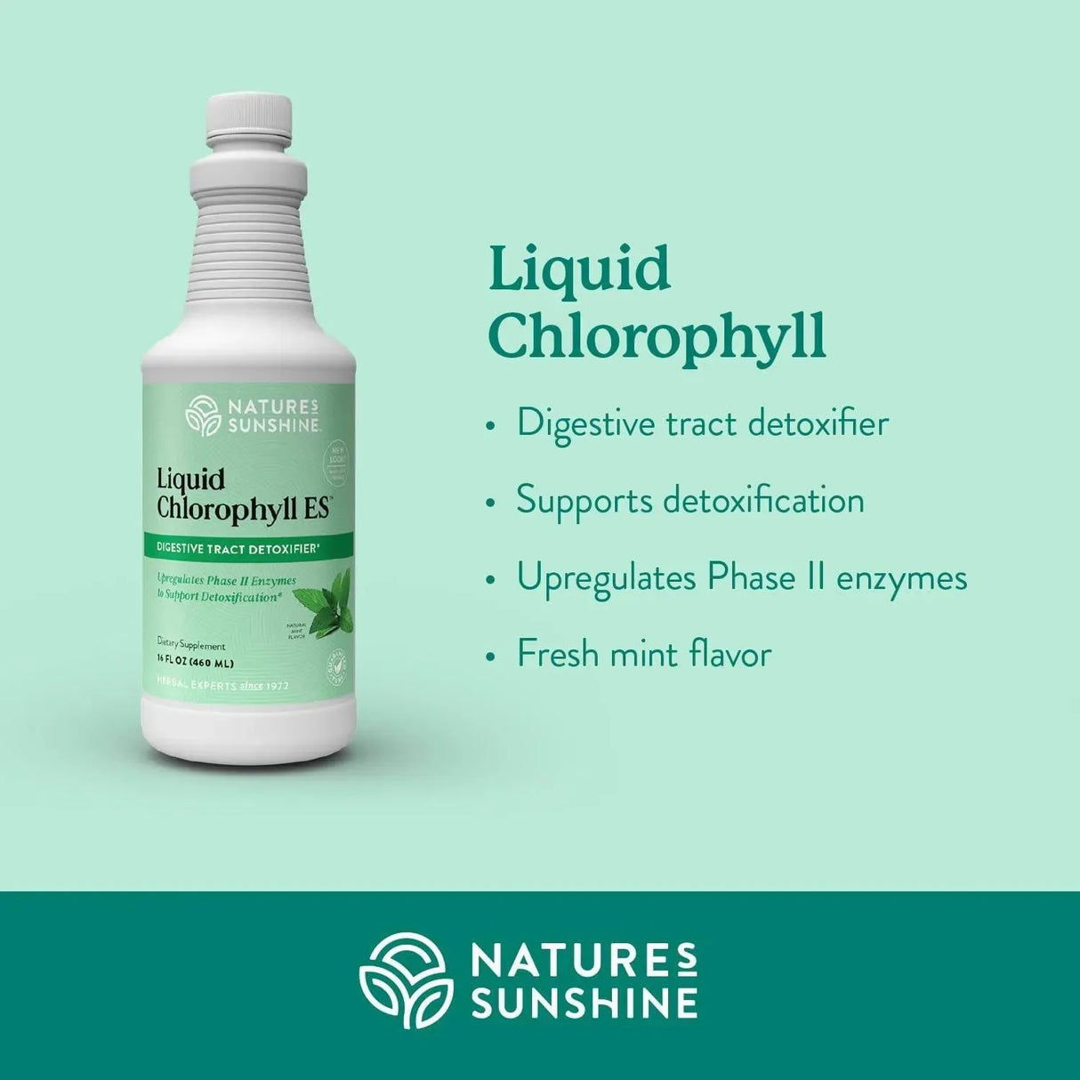 NATURES SUNSHINE - Nature's Sunshine Liquid Chlorophyll 460Ml. - The Red Vitamin MX - Suplementos Alimenticios - {{ shop.shopifyCountryName }}