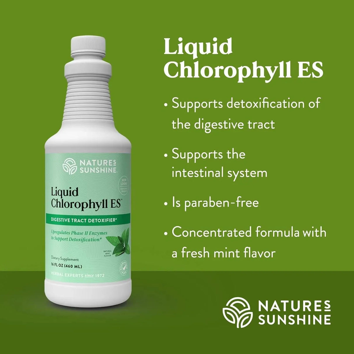 NATURES SUNSHINE - Nature's Sunshine Liquid Chlorophyll Extra Strength 460Ml. - The Red Vitamin MX - Suplementos Alimenticios - {{ shop.shopifyCountryName }}