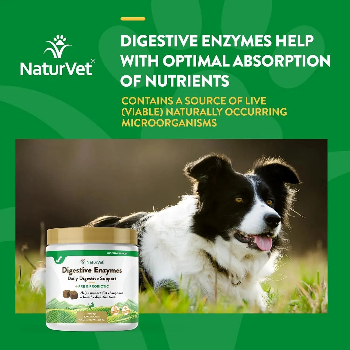 NATURVET - NaturVet Digestive Enzymes Plus Probiotics 120 Masticables - The Red Vitamin MX - Probióticos Para Perros - {{ shop.shopifyCountryName }}