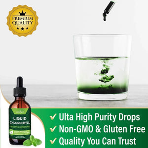 NEW AGE - New Age Chlorophyll Liquid Drops 60Ml. 2 Pack - The Red Vitamin MX - Suplementos Alimenticios - {{ shop.shopifyCountryName }}