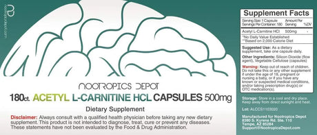 NOOTROPICS DEPOT - Nootropics Depot Acetyl L-Carnitine 500Mg. 180 Capsulas - The Red Vitamin MX - Suplementos Alimenticios - {{ shop.shopifyCountryName }}