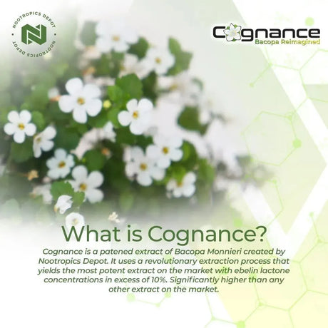 NOOTROPICS DEPOT - Nootropics Depot Cognance - The Red Vitamin MX - Suplementos Alimenticios - {{ shop.shopifyCountryName }}