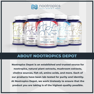 NOOTROPICS DEPOT - Nootropics Depot Rhodiola Rosea 500Mg. 60 Capsulas - The Red Vitamin MX - Suplementos Alimenticios - {{ shop.shopifyCountryName }}