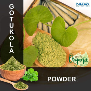 NOVA NUTRITIONS - Nova Nutritions Certified Organic Gotu Kola Powder 454Gr. - The Red Vitamin MX - Suplementos Alimenticios - {{ shop.shopifyCountryName }}