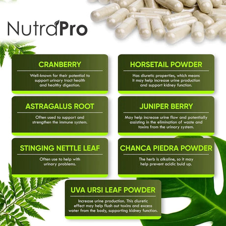 NUTRAPRO - NutraPro Kidney Cleanse Detox & Repair and Bladder Support 60 Capsulas - The Red Vitamin MX - Suplementos Alimenticios - {{ shop.shopifyCountryName }}