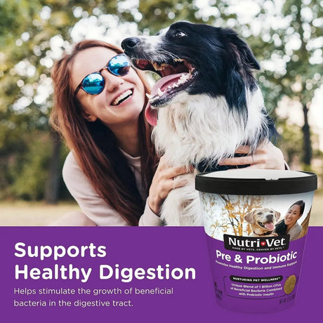 NUTRI-VET - Nutri-Vet Pre and Probiotic Soft Chews for Dogs 120 Masticables - The Red Vitamin MX - Probióticos Para Perros - {{ shop.shopifyCountryName }}