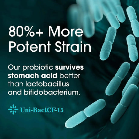 NUTRITION ESSENTIALS - Nutrition Essentials Top Probiotic 60 Tabletas - The Red Vitamin MX - Suplementos Alimenticios - {{ shop.shopifyCountryName }}