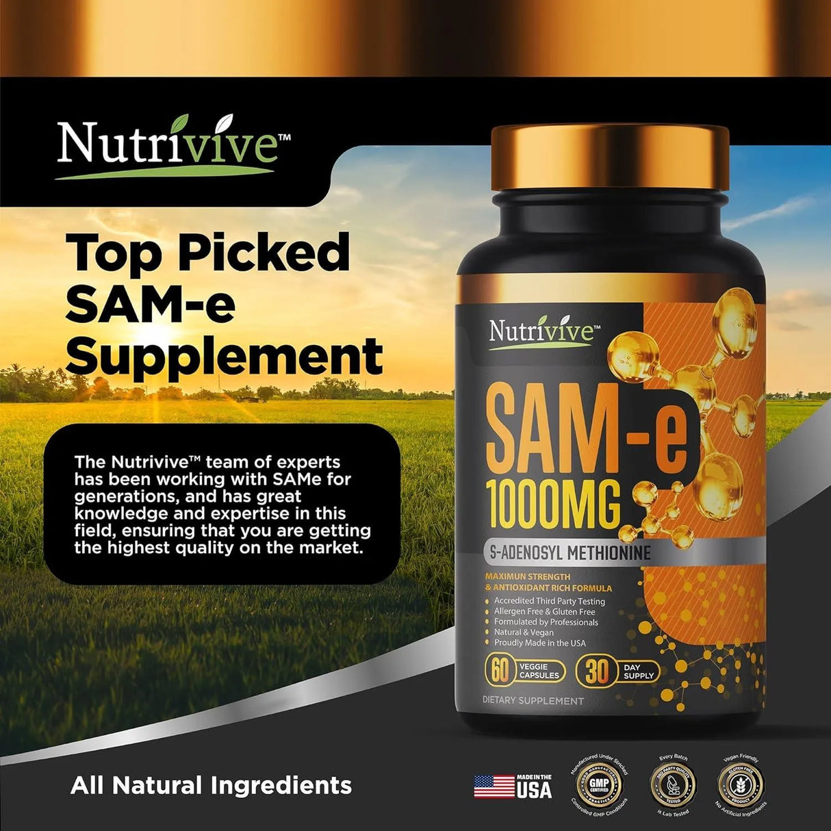 NUTRIVIVE - Nutrivive SAM-e 1000Mg. 60 Capsulas - The Red Vitamin MX - Suplementos Alimenticios - {{ shop.shopifyCountryName }}