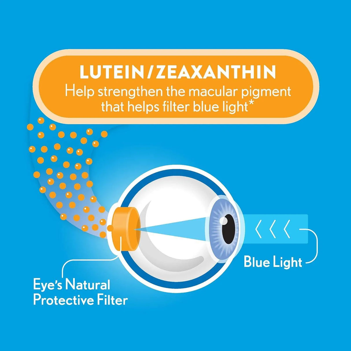 OCUVITE - Ocuvite Blue Light Lutein & Zeaxanthin 30 Capsulas Blandas - The Red Vitamin MX - Suplementos Alimenticios - {{ shop.shopifyCountryName }}