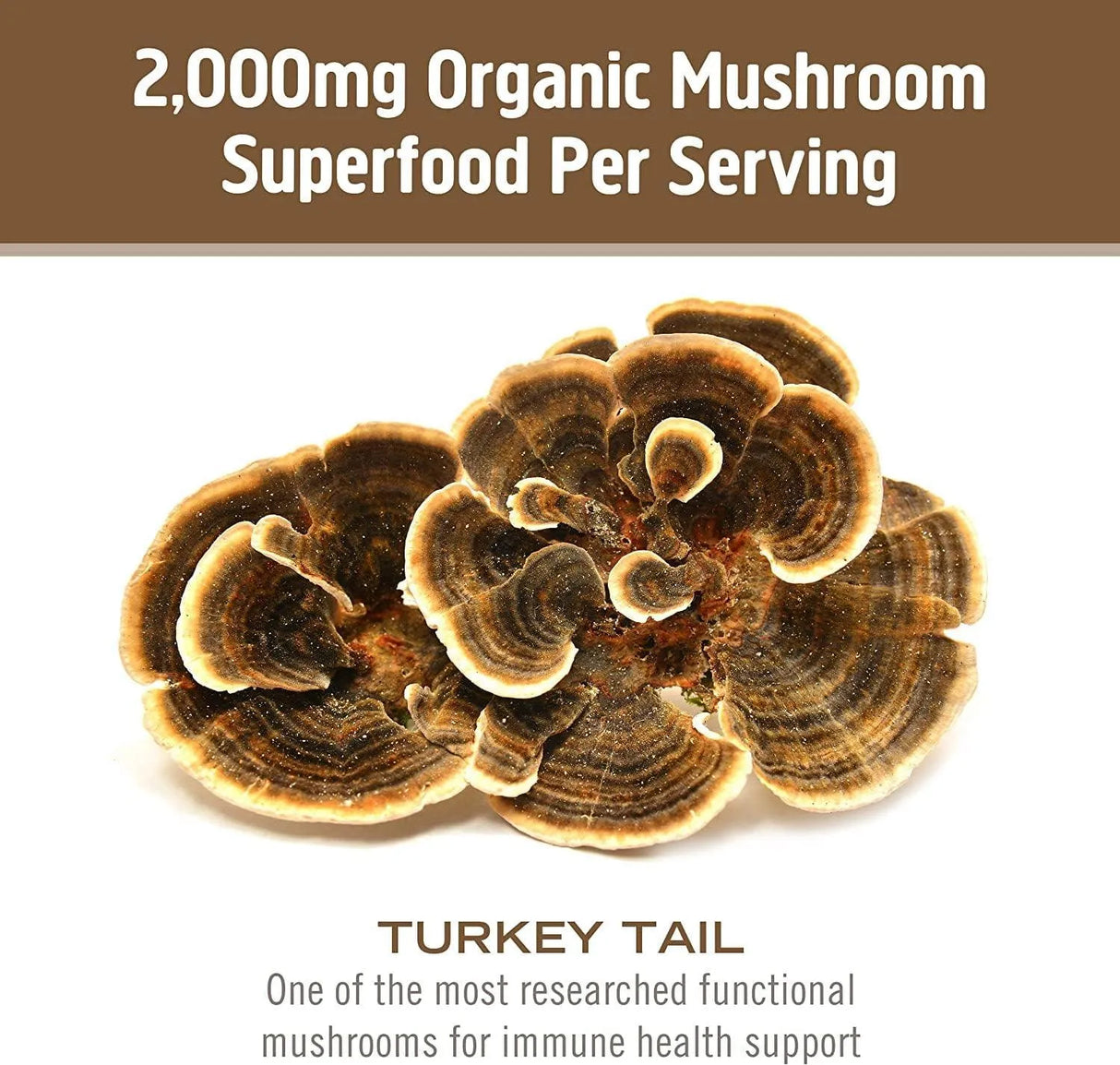 OM - Om Mushroom Superfood Turkey Tail Mushroom 90 Capsulas - The Red Vitamin MX - Suplementos Alimenticios - {{ shop.shopifyCountryName }}