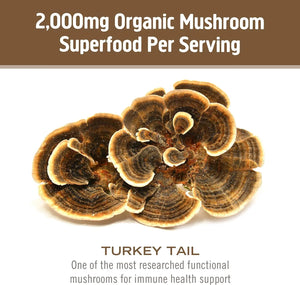 OM - OM Mushroom Superfood Turkey Tail Organic Mushroom Powder 100Gr. - The Red Vitamin MX - Suplementos Alimenticios - {{ shop.shopifyCountryName }}