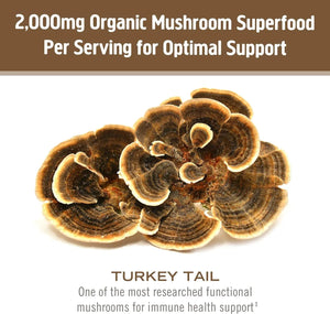 OM - OM Mushroom Superfood Turkey Tail Organic Mushroom Powder 200Gr. - The Red Vitamin MX - Suplementos Alimenticios - {{ shop.shopifyCountryName }}