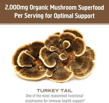 OM - OM Mushroom Superfood Turkey Tail Organic Mushroom Powder 200Gr. - The Red Vitamin MX - Suplementos Alimenticios - {{ shop.shopifyCountryName }}