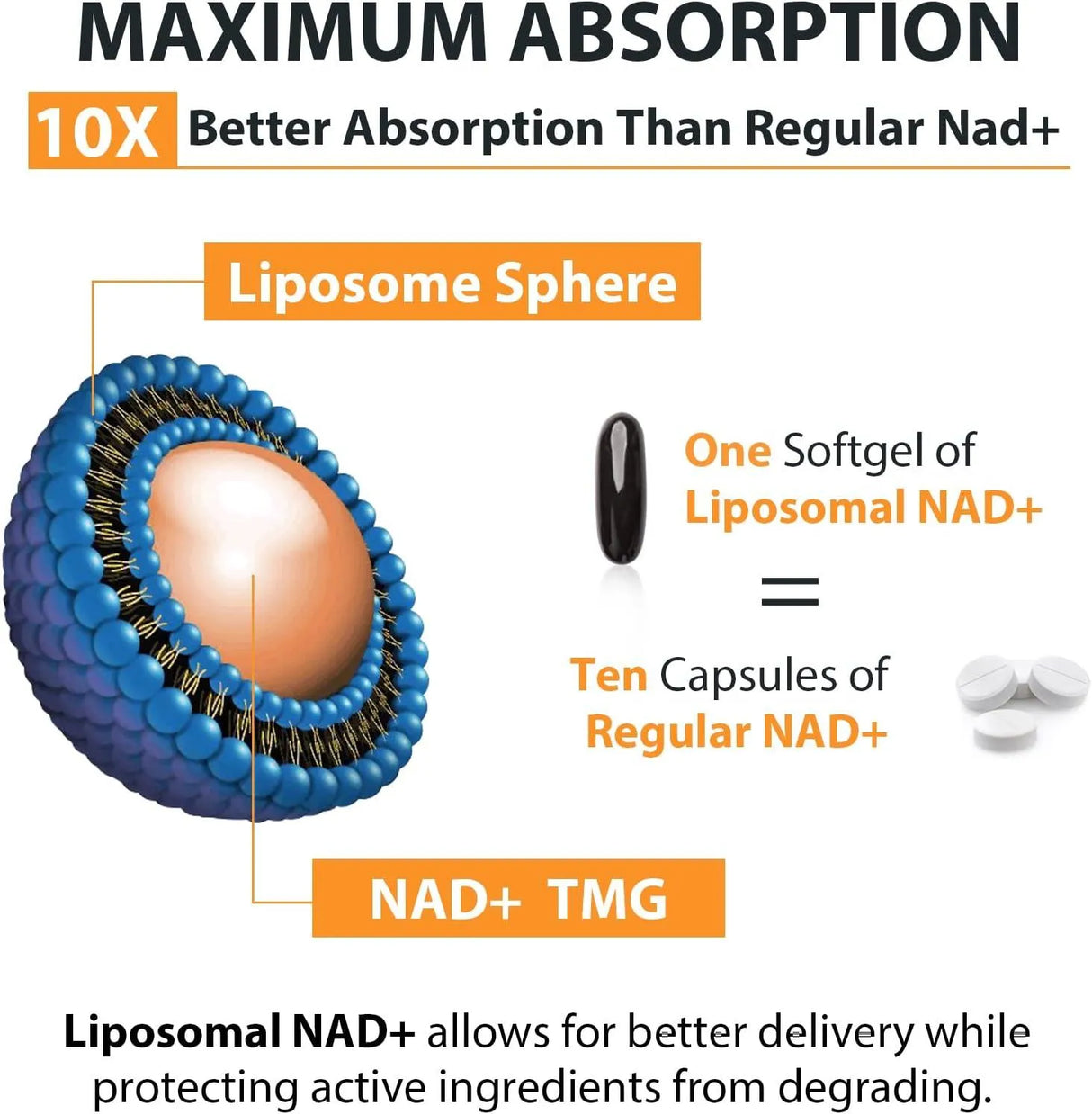 ORGABAY - Orgabay Liposomal NAD+ 500Mg. Supplement 60 Capsulas Blandas - The Red Vitamin MX - Suplementos Alimenticios - {{ shop.shopifyCountryName }}