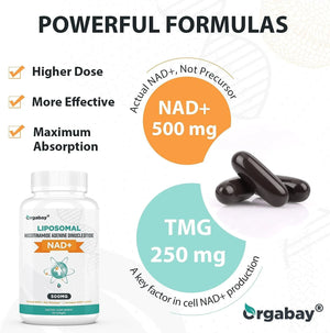 ORGABAY - Orgabay Liposomal NAD+ 500Mg. Supplement 60 Capsulas Blandas - The Red Vitamin MX - Suplementos Alimenticios - {{ shop.shopifyCountryName }}