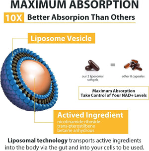 ORGABAY - Orgabay Liposomal Nicotinamide Riboside 2000Mg. 60 Capsulas Blandas 2 Pack - The Red Vitamin MX - Suplementos Alimenticios - {{ shop.shopifyCountryName }}