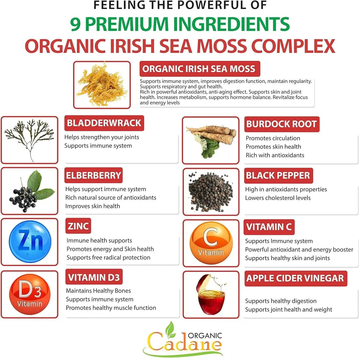 ORGANIC CADANE - Organic Cadane Irish Sea Moss Extract 90 Capsulas - The Red Vitamin MX - Suplementos Alimenticios - {{ shop.shopifyCountryName }}