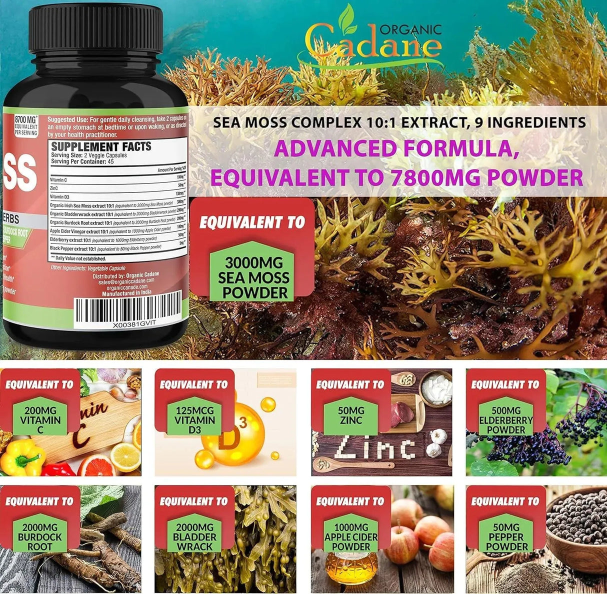 ORGANIC CADANE - Organic Cadane Irish Sea Moss Extract 90 Capsulas - The Red Vitamin MX - Suplementos Alimenticios - {{ shop.shopifyCountryName }}