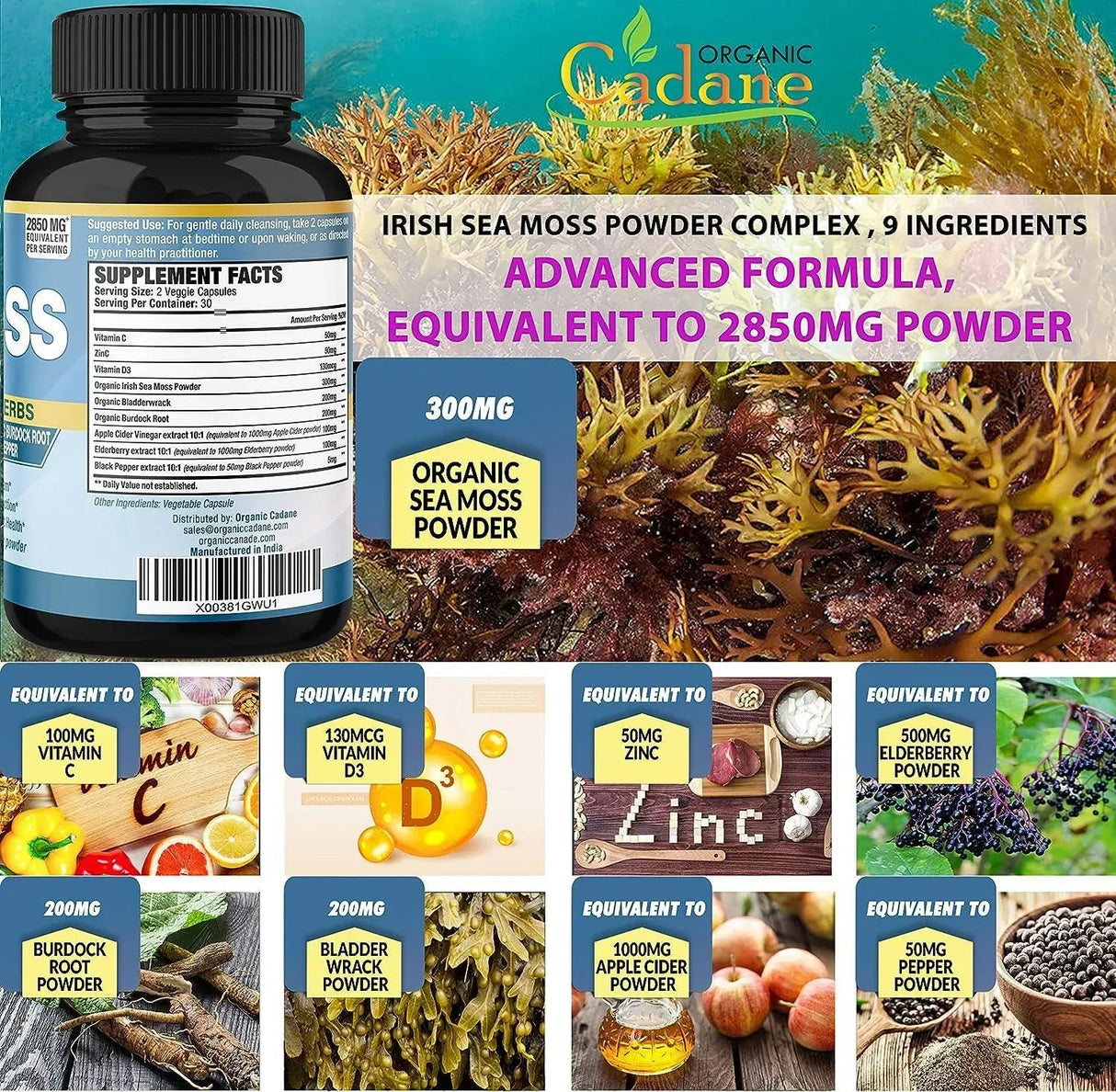 ORGANIC CADANE - Organic Cadane Organic Irish Sea Moss 120 Capsulas - The Red Vitamin MX - Suplementos Alimenticios - {{ shop.shopifyCountryName }}